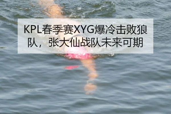 KPL春季赛XYG爆冷击败狼队，张大仙战队未来可期